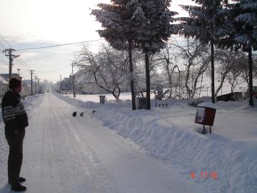 zima 2010 zima 2010