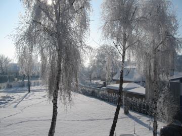 zima 2011 zima 2011
