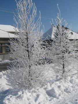 zima 2011 zima 2011