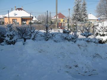 zima 2011 zima 2011